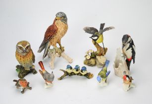 A group of fourteen porcelain figures of birds, ten examples by Goebel, the larger to include a