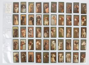 Taddy & Co. Cigarette cards,. 'Dogs' 1900, minor wear to corners and edges