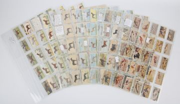 Wm Ruddell Ltd, a set of 25 cards, Rod & Gun, H Stevens & Co, a set of 20 cards, various dogs,