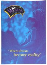 Original Wizards of the Coast Brochure. This brochure gives an insight to some of the history of