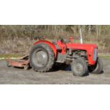 1964 Massey Ferguson 35X Diesel Tractor. Registration number: AFX 79B. Recently fully refurbished