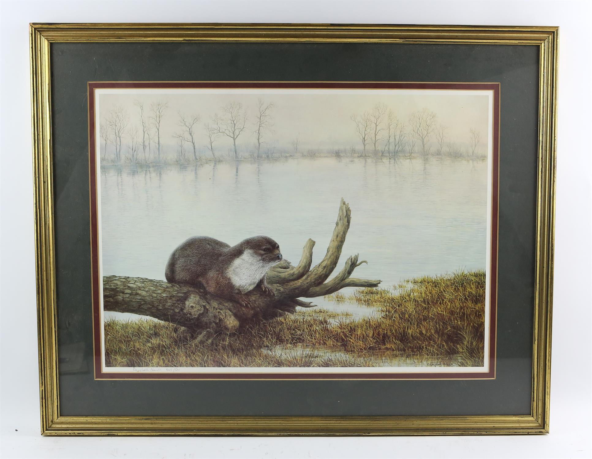 A group of five, including a signed print of an otter by Campbell Black, a modern colour transfer - Image 3 of 5