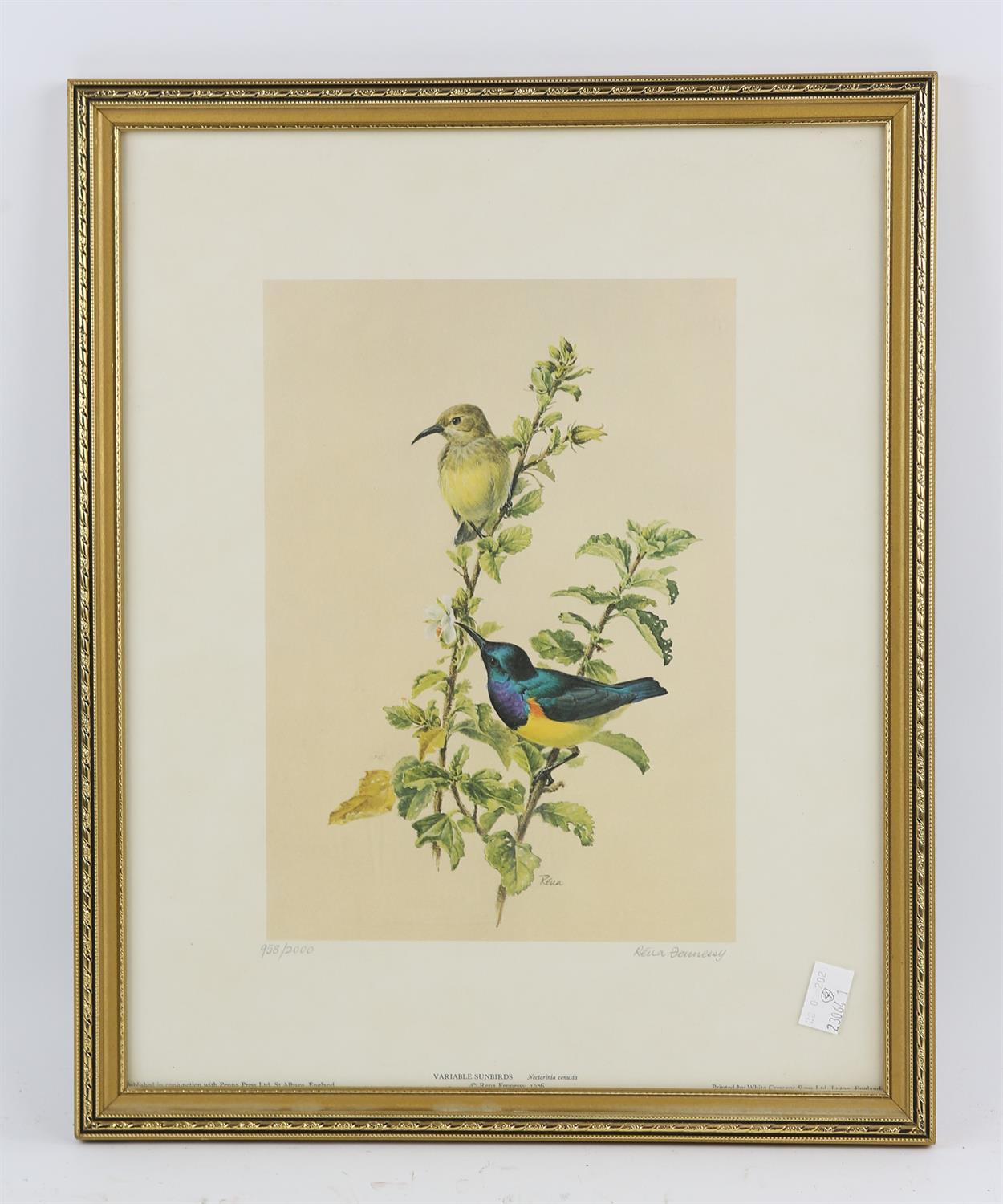 Rena Fennessy (20th century), Golden Rumped Tinker Birds; Black Throated Apalis; Red-Cheeked Cordon - Image 4 of 4