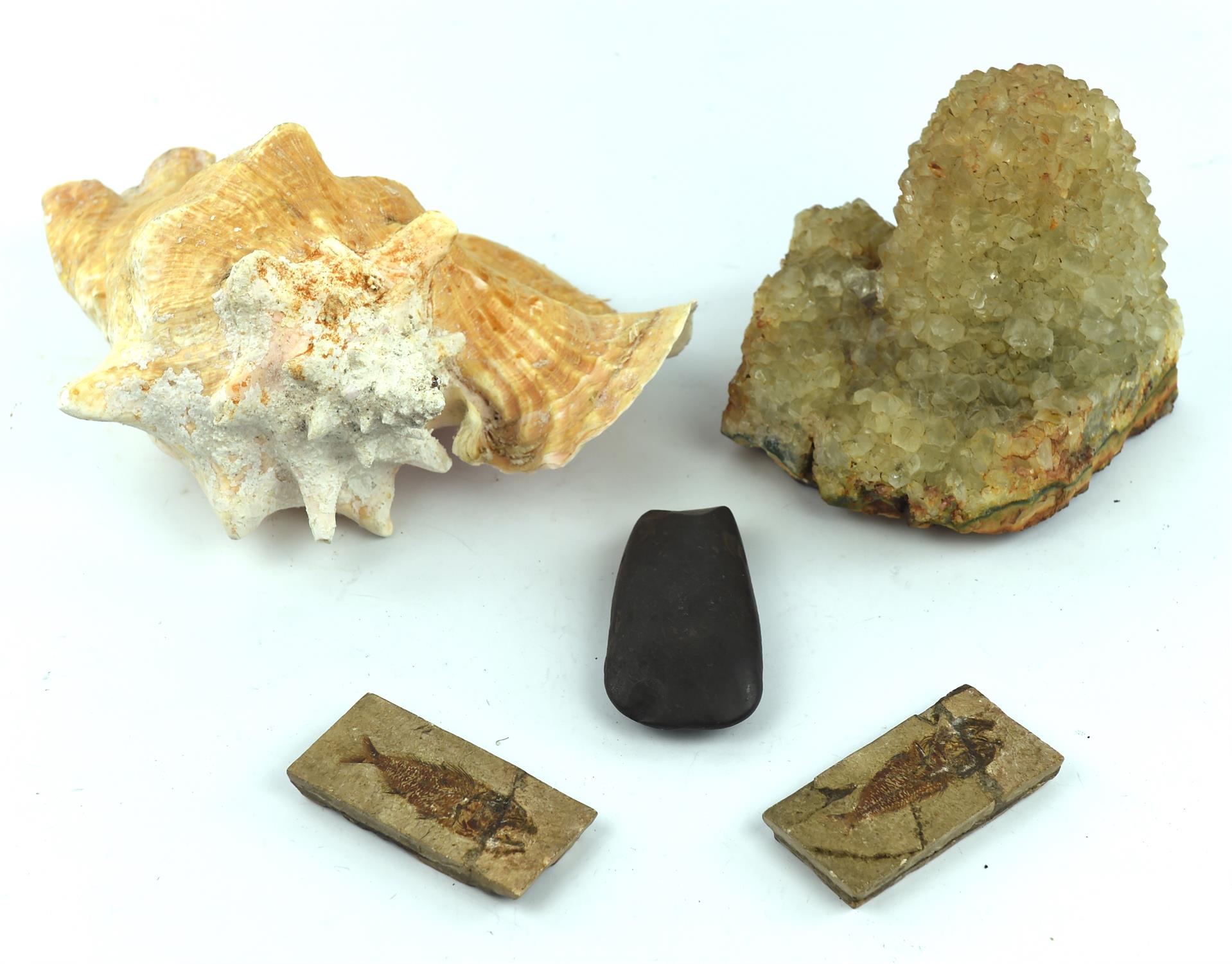 A collection of Natural History items and hardstones, to include three sea urchins, three shells,