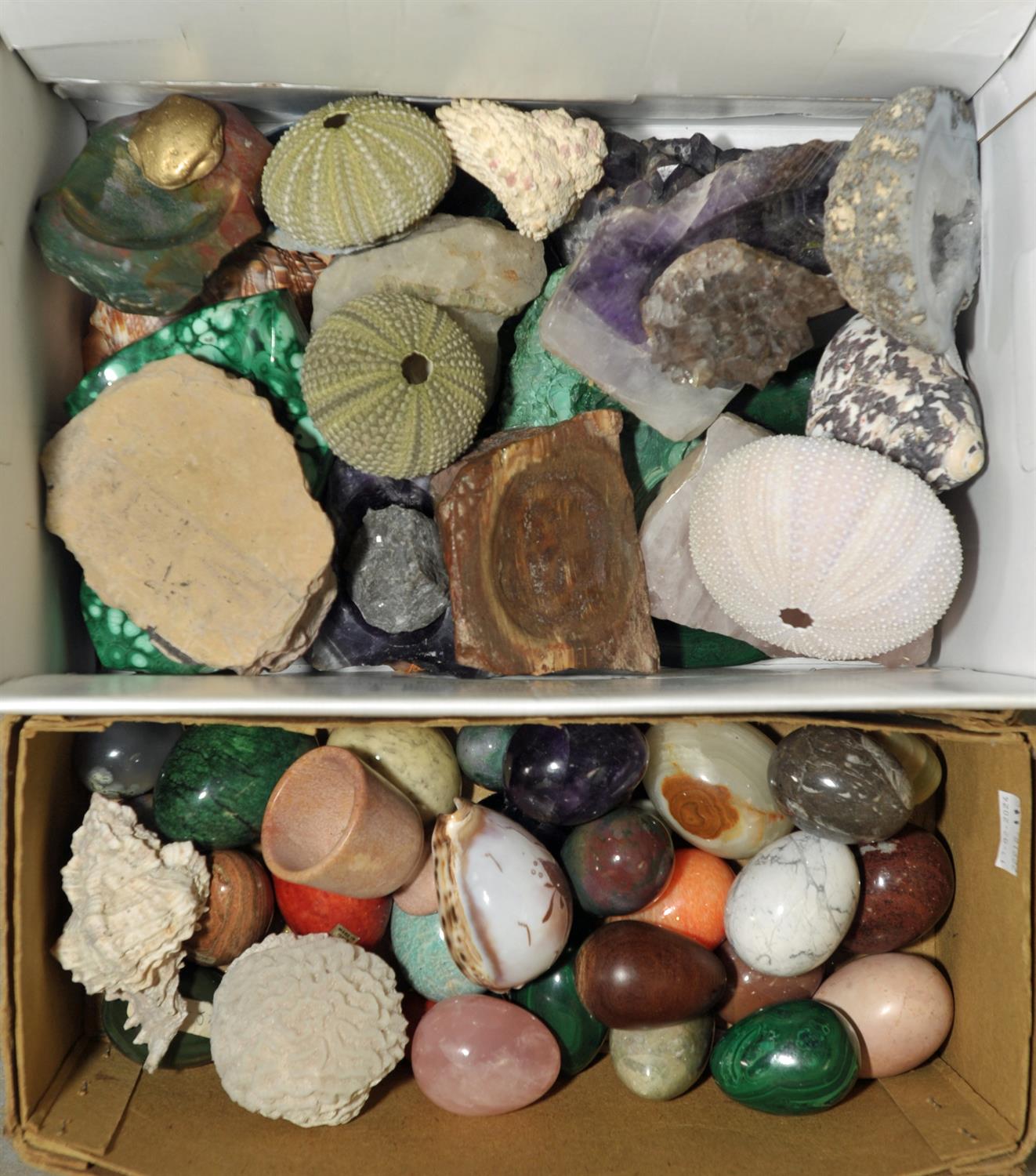 A collection of Natural History items and hardstones, to include three sea urchins, three shells, - Image 2 of 2