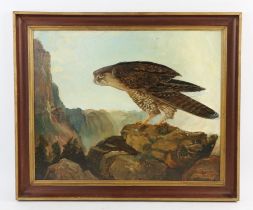 Ashton Booth (British b.1925), Gyrfalcon, Norway, oil on board, signed lower right, 37 x 45cm.