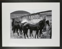 Unknown photographer, Stable lads and racing horses, black and white photograph, framed and glazed,