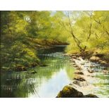 Terence Evans (British b.1943), Wooded river scene, oil on canvas, 60 x 75cm. Framed
