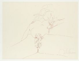 John Lennon (British 1940-1980), Nude Yoko Ono, serigraph, 36 x 48cm.