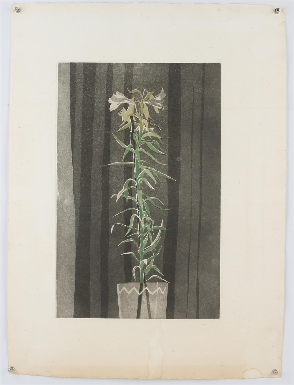 Patrick Procktor (British 1936-2003), Lilies, colour aquatint, initialled lower right, inscribed B.