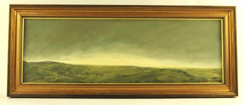 David H. Hunt (contemporary), Bleak landscape, oil on canvas laid on board, indistinctly signed