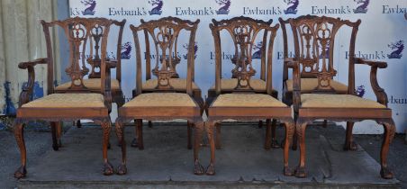 Eight George III style mahogany dining chairs, with two armchairs, the backs with pierced splats,