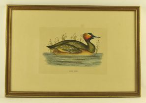 After Rev. F. O. Morris, Goosander; Red Breasted Merganse; Eared Grebe, a set of three