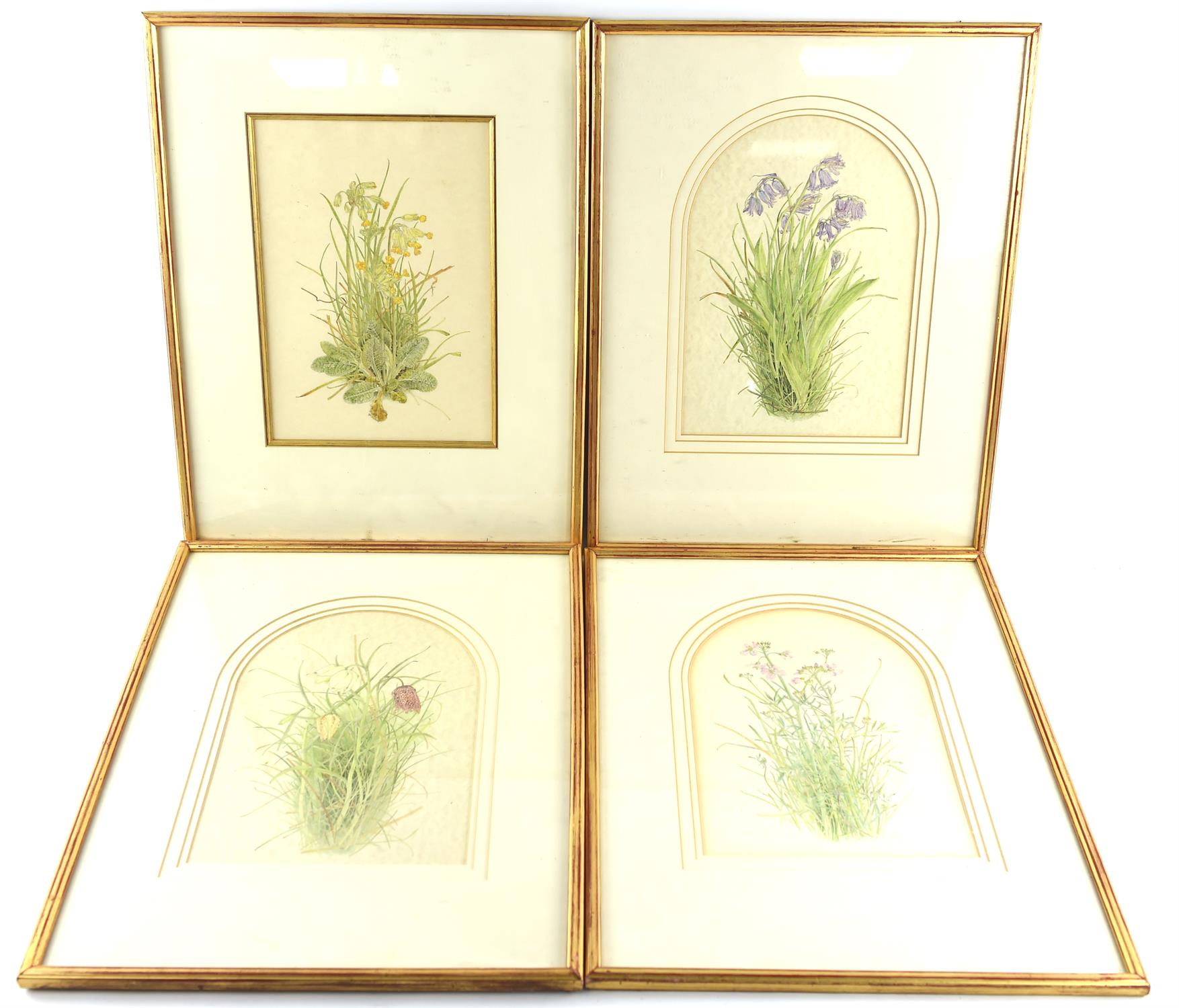 After Helga Hislop. A set of nine colour prints depicting wild flowers: bluebells, frittillary, - Image 3 of 3