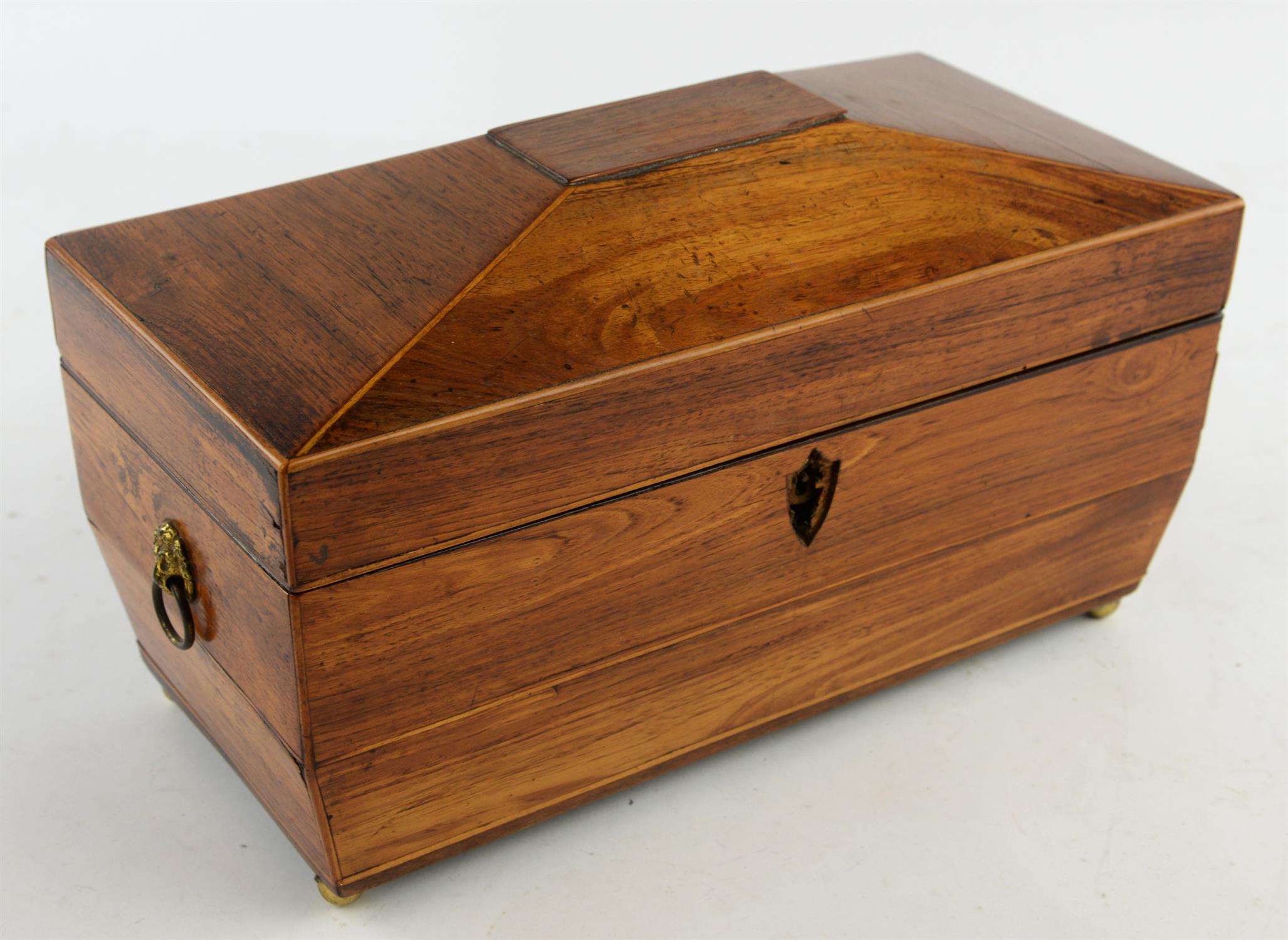 A Regency kingwood twin division tea caddy of sarcophagus form, with twin lion ring handles and