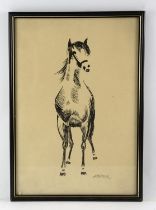 J. M. Laurente, Study of a Horse, monochrome watercolour, signed lower right, 42 x 29cm.