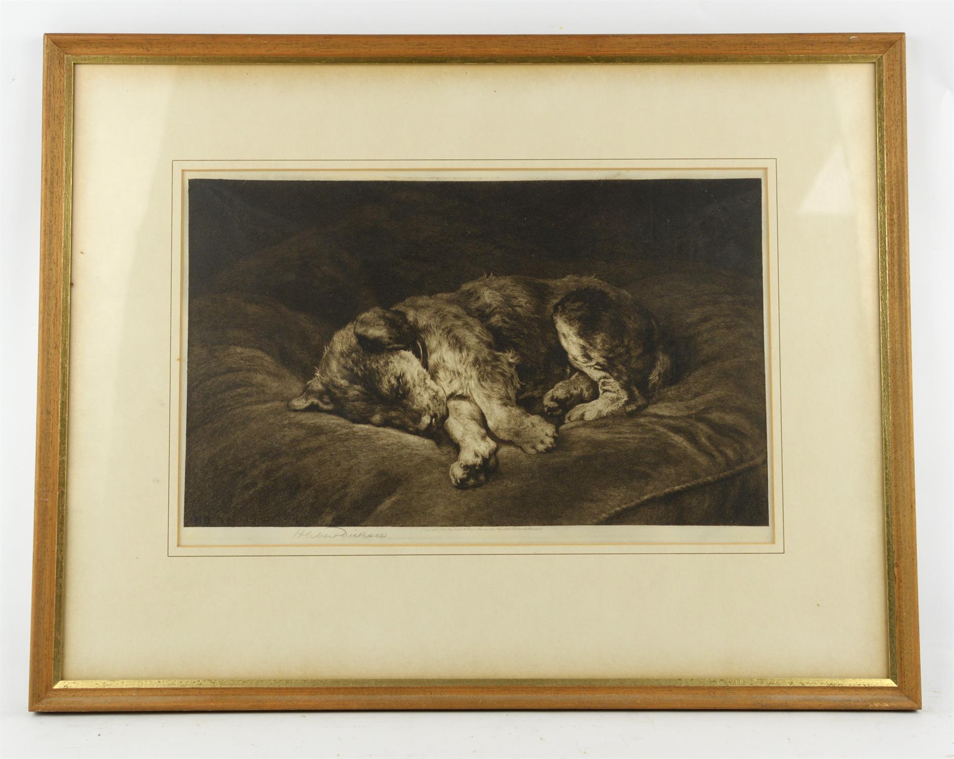 Herbert Dicksee (1862-1942), Sleeping Lion cub, etching, signed, together with 'A Labour of love' - Image 2 of 5