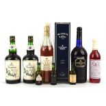 Mixed case, Madeira Blandy's 10yr Sercial, 1 bottle, together with Sloe gin, 2 bottles,