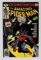 Marvel Comics: The Amazing Spider-man No. 194 featuring the 1st appearance of The Black Cat (1979).