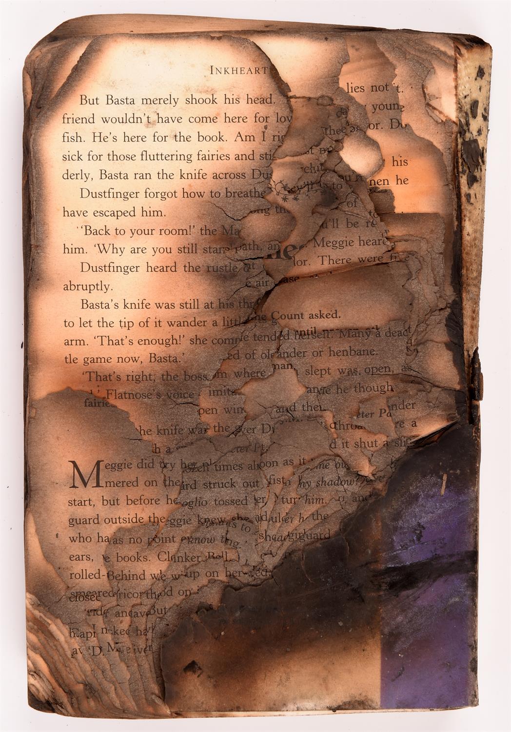 Inkheart (2008) - Prop production burned book Inkheart by Fenoglio, made for the film and thrown in - Image 2 of 2