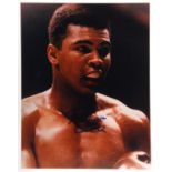 Muhammed Ali - Colour photograph Signed by Muhammad Ali AKA Cassius Clay,10 x 8 inch, with COA,