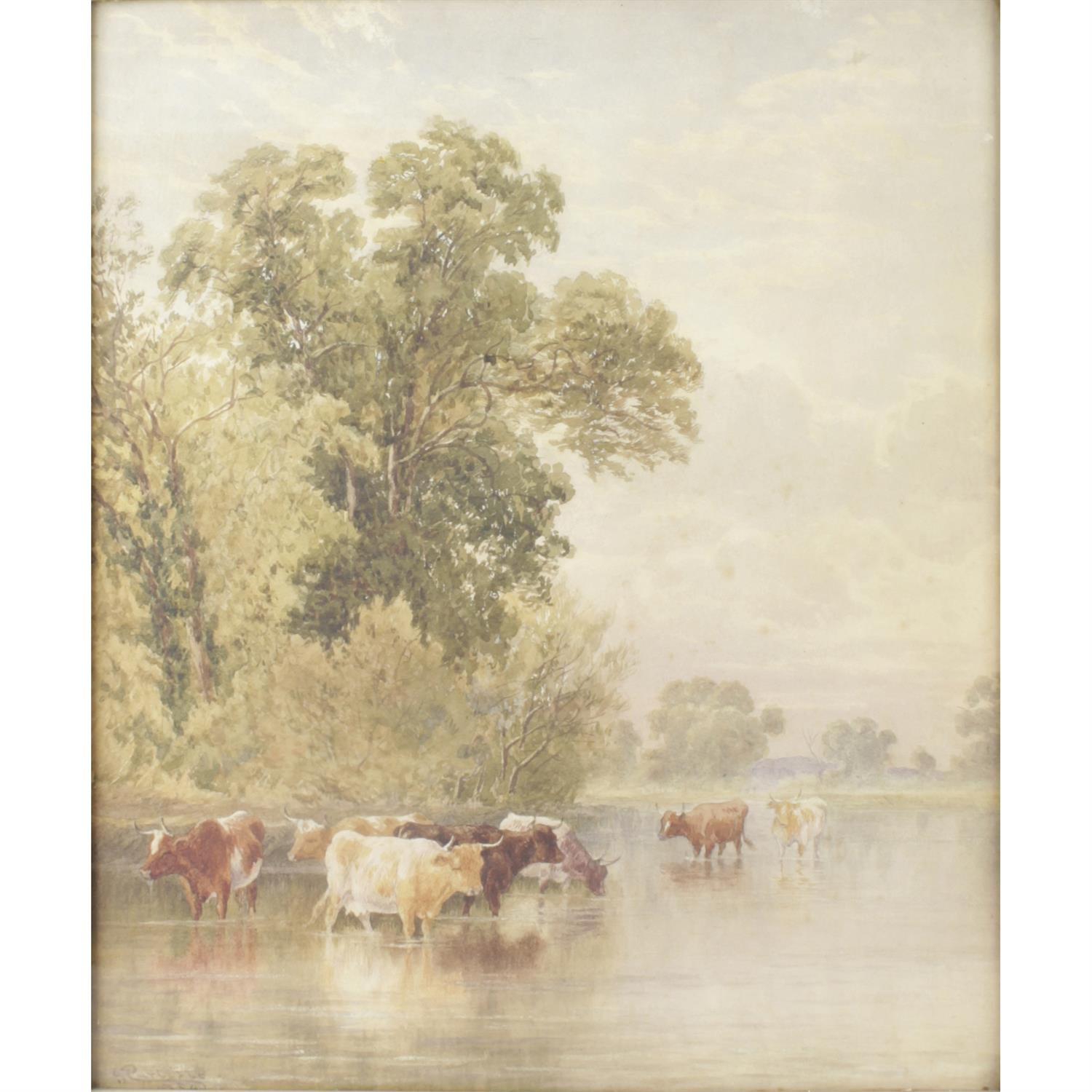 G. Carlisle Highland Cattle watercolour