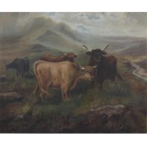 Oil on canvas of Highland Cattle