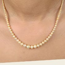 Natural pearl necklace with diamond clasp