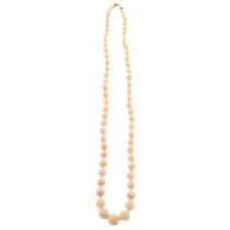 Conch shell bead single-strand necklace