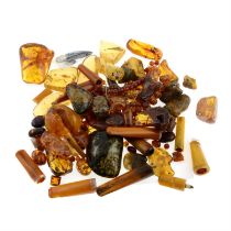 Assorted amber and fossil, 625g