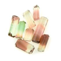 Assorted bi-colour tourmalines, 36.46ct