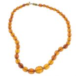 Early 20th century modified amber necklace