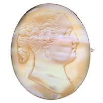 Early 20th century mother-of-pearl pendant/brooch