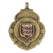 9ct gold enamel football medallion pendant