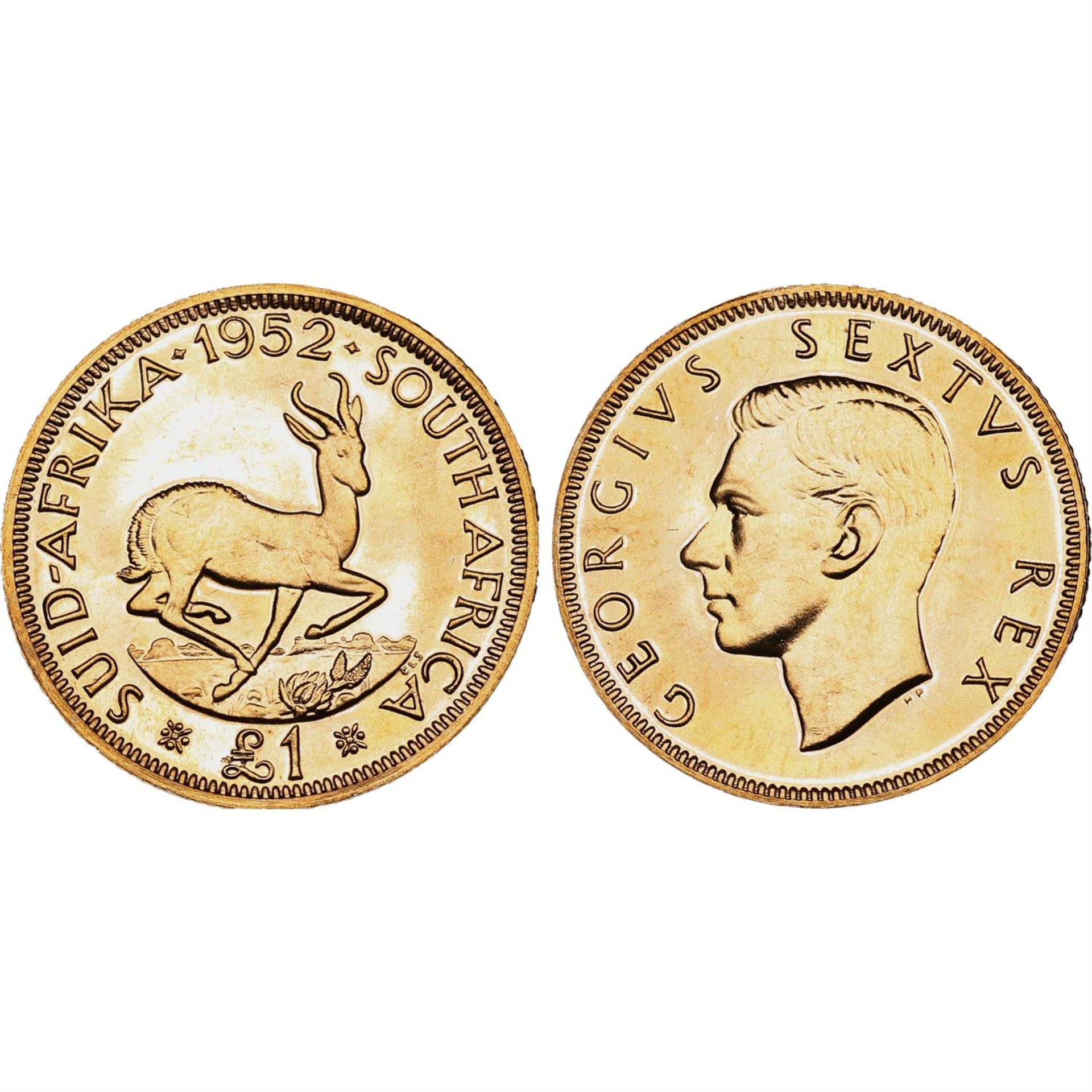 South Africa, British Commonwealth. George VI AV 1 Pound.