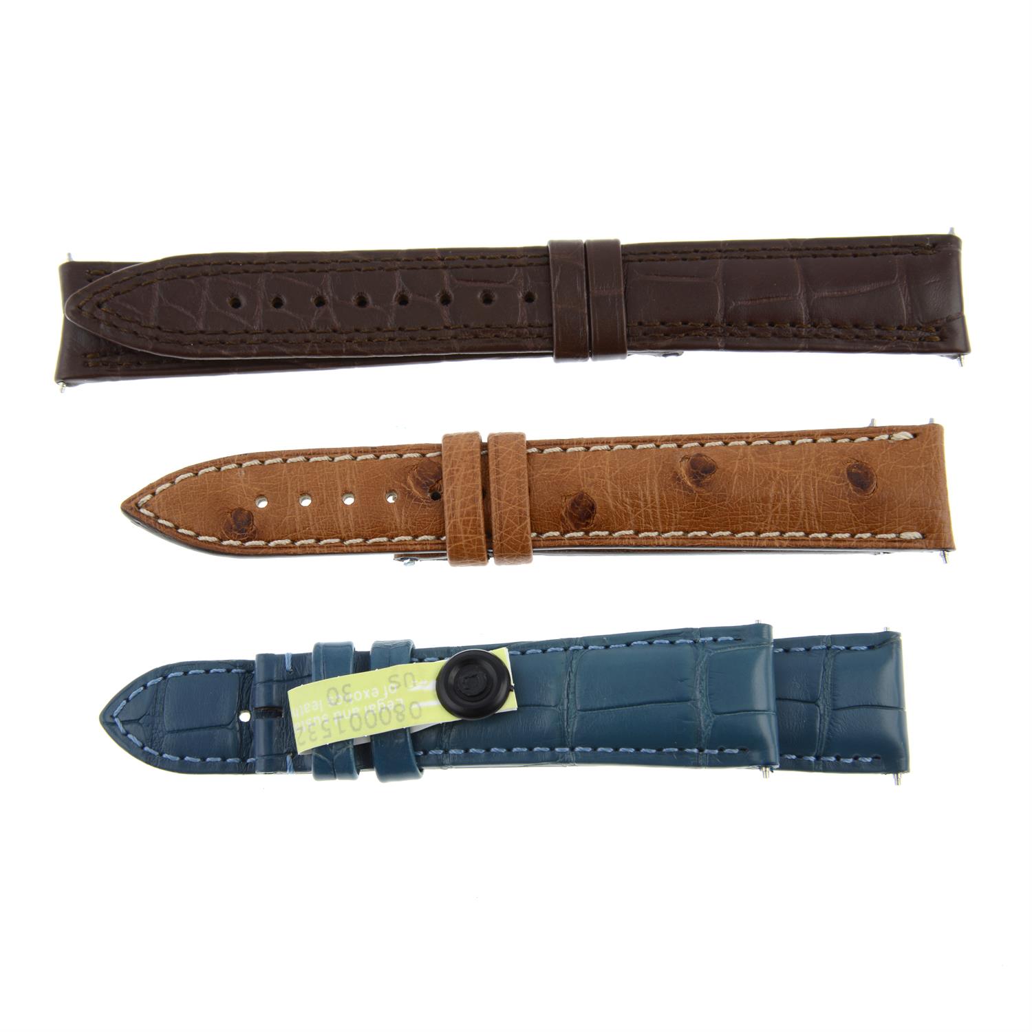A group of ten assorted watch straps.