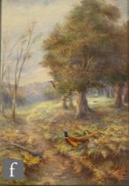 HARRY STINTON (1883-1968) - Pheasants in an autumnal landscape, watercolour, signed, framed, 38cm