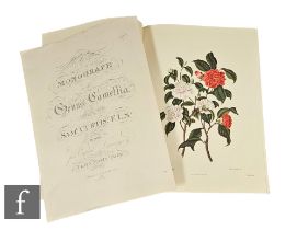 Curtis, Samuel - A Monograph of the Genus Camellia, London, originally published 1819, later