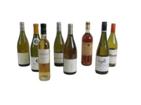 Wine: A colleciton of 8 white Wines, including: * Balland - Chapus Sancerre 2010 (2); * Bertiniere