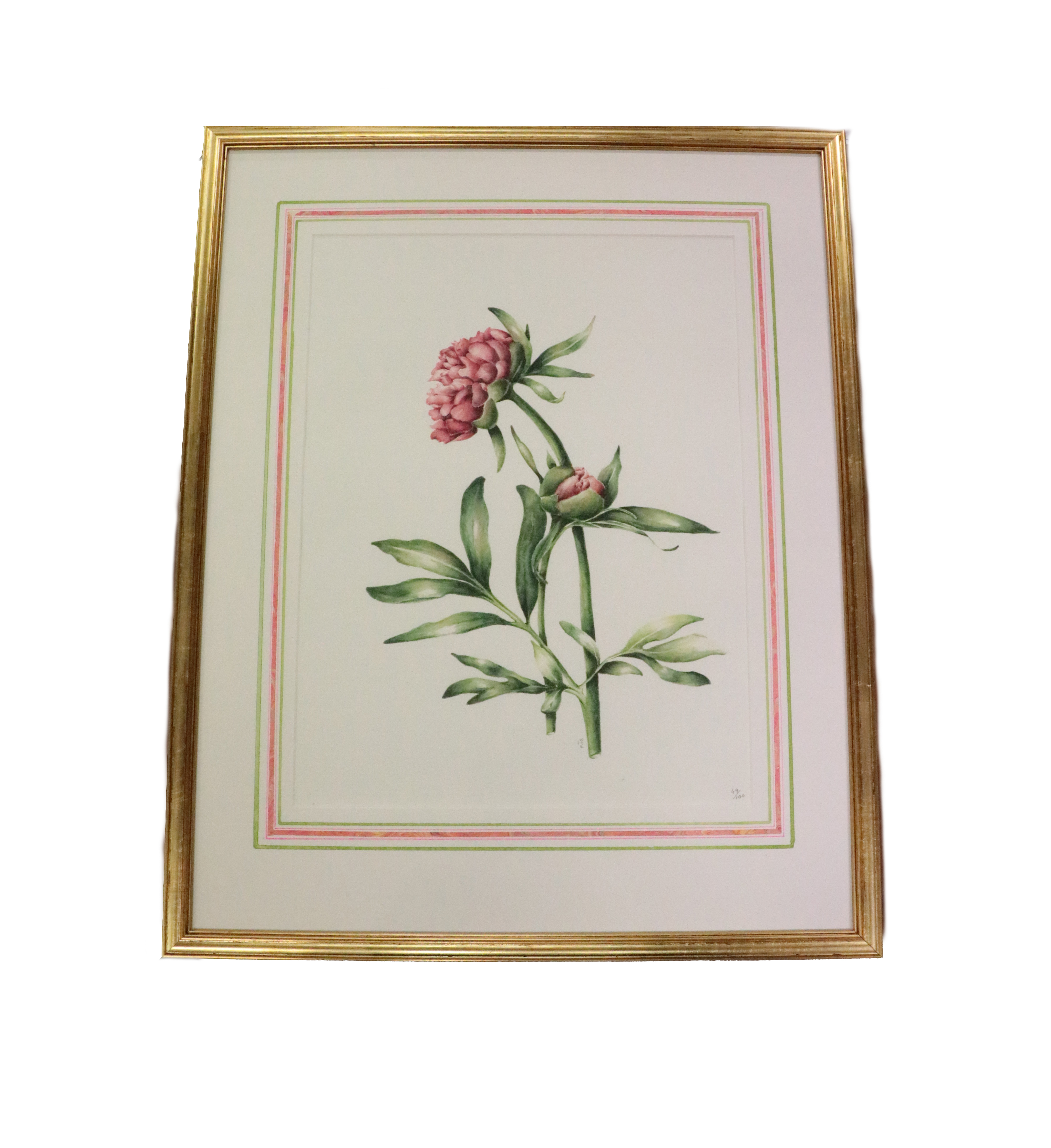 Jane Thomson Moore, (XX-XXI) A set of three Limited Edition of 100 coloured Botanical Prints, - Bild 3 aus 3