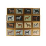 20th Century Irish School Equestrian: A set of sixteen original Oils on Board, depicting various