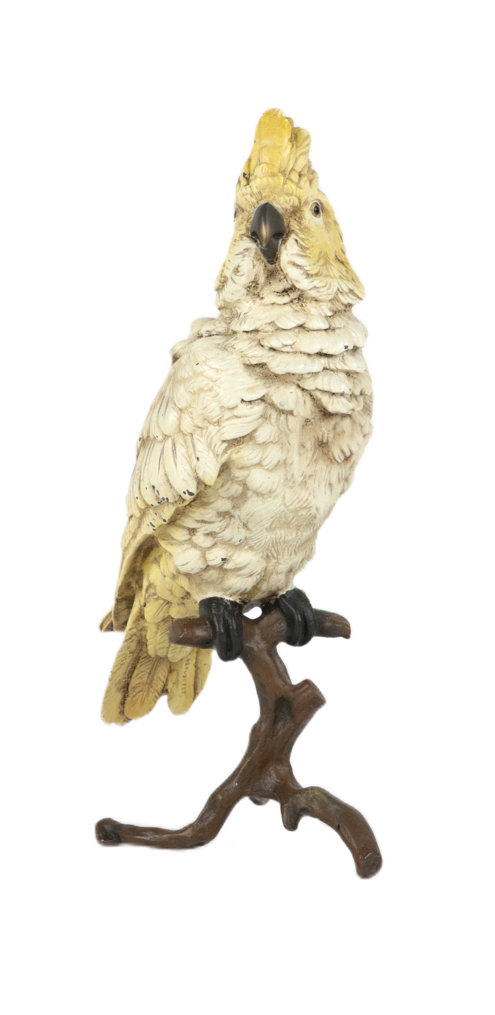 An attractive Austrian bronze cold painted Cockatoo, by Franz Bergman, modelled perched on a branch,