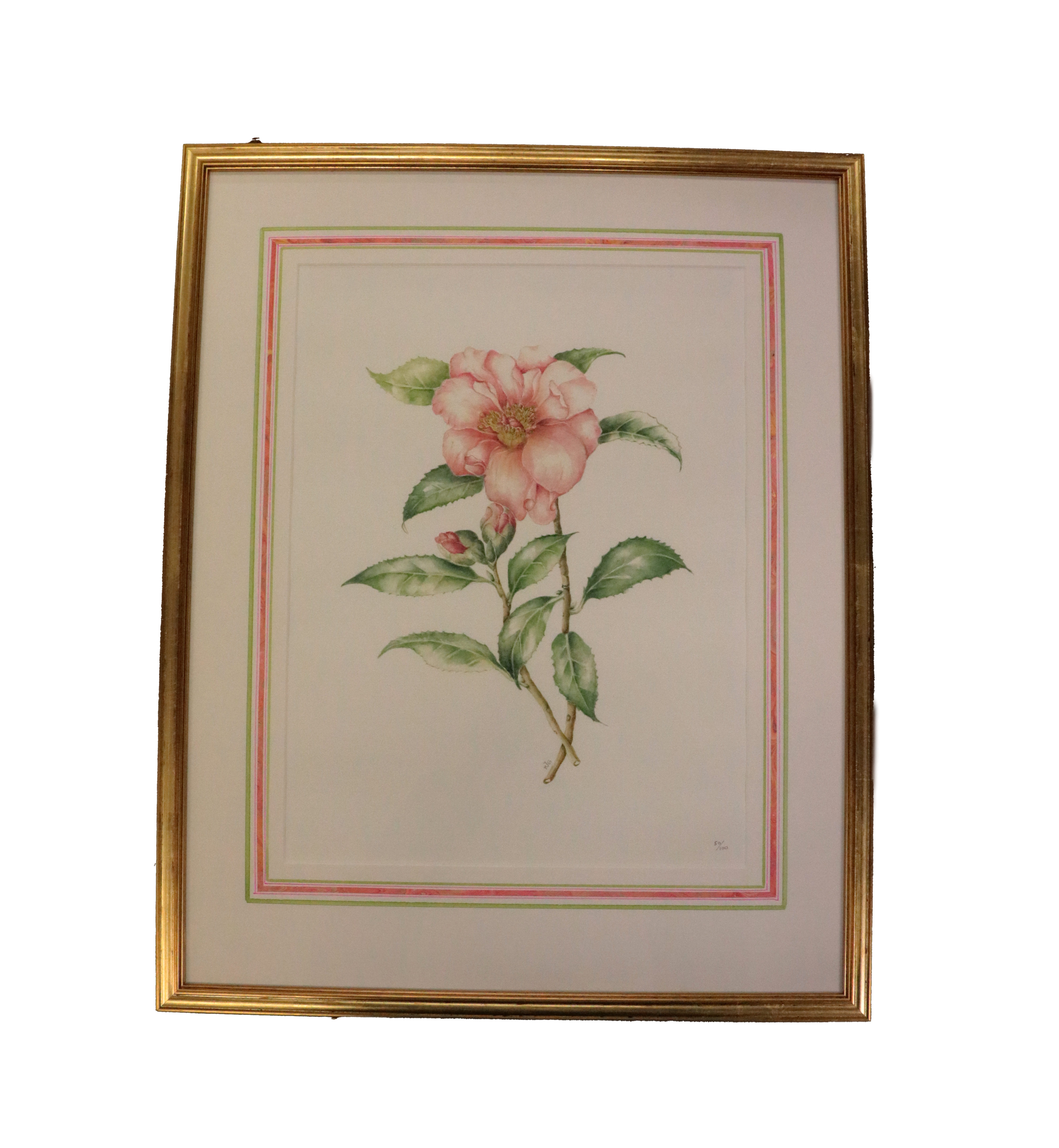 Jane Thomson Moore, (XX-XXI) A set of three Limited Edition of 100 coloured Botanical Prints,