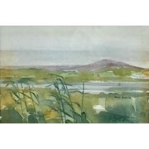 Denise Ferran, Irish (b. 1942) "Reeds at Lagg V," watercolour, approx. 16cms x 25cms (6 1/4" x 10"),