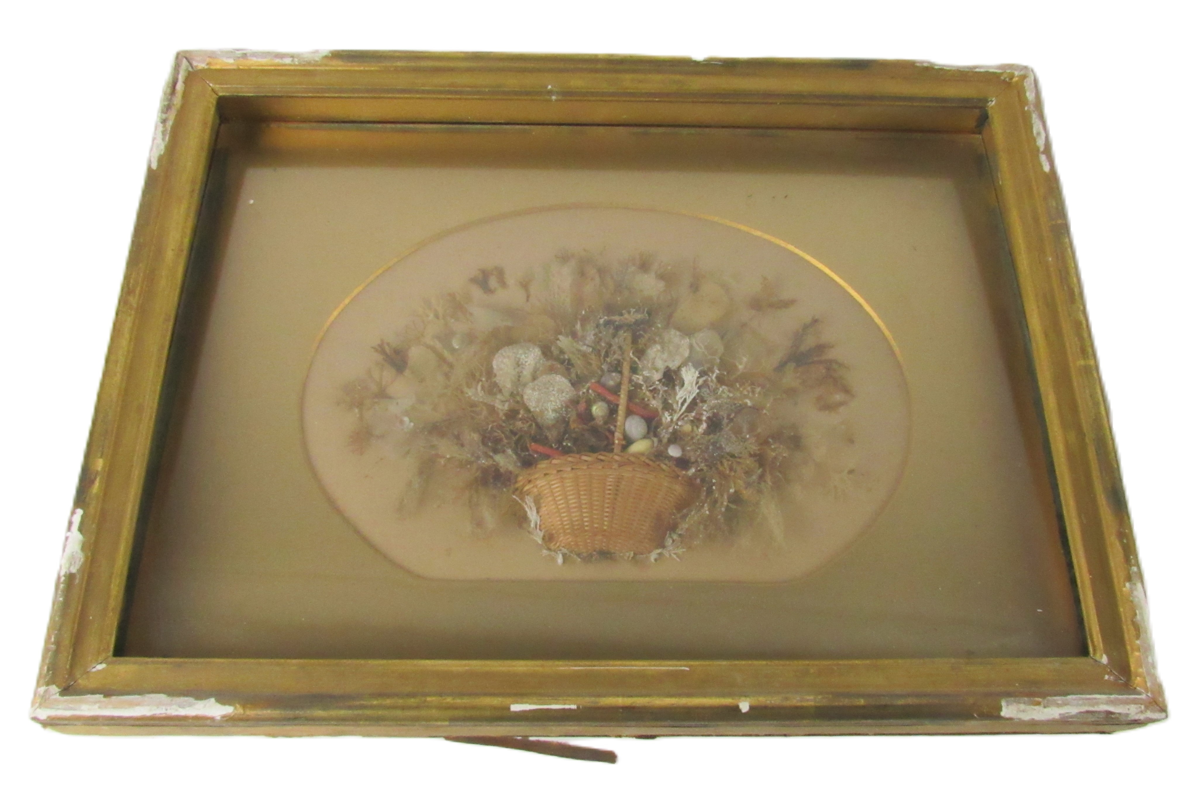 A rare early 19th Century attractive floral Diorama, by Emma Sophia M. Phillips, 1843, with - Image 4 of 4
