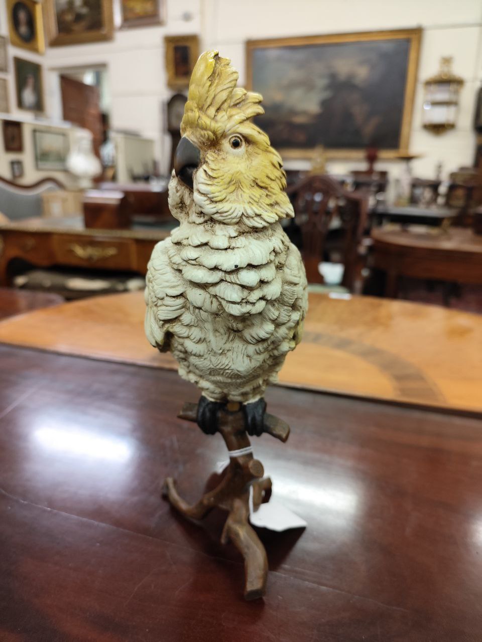 An attractive Austrian bronze cold painted Cockatoo, by Franz Bergman, modelled perched on a branch, - Image 5 of 8