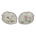 A pair of shaped antique Davenport decorated porcelain Plates, each decorated with a Botanical