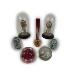 A collection of five varied decorative 'Murano' type glass Paperweights, and two unusual decorated
