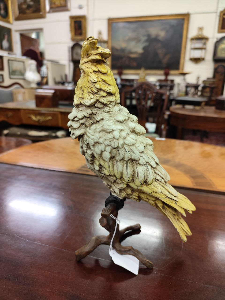 An attractive Austrian bronze cold painted Cockatoo, by Franz Bergman, modelled perched on a branch, - Image 4 of 8
