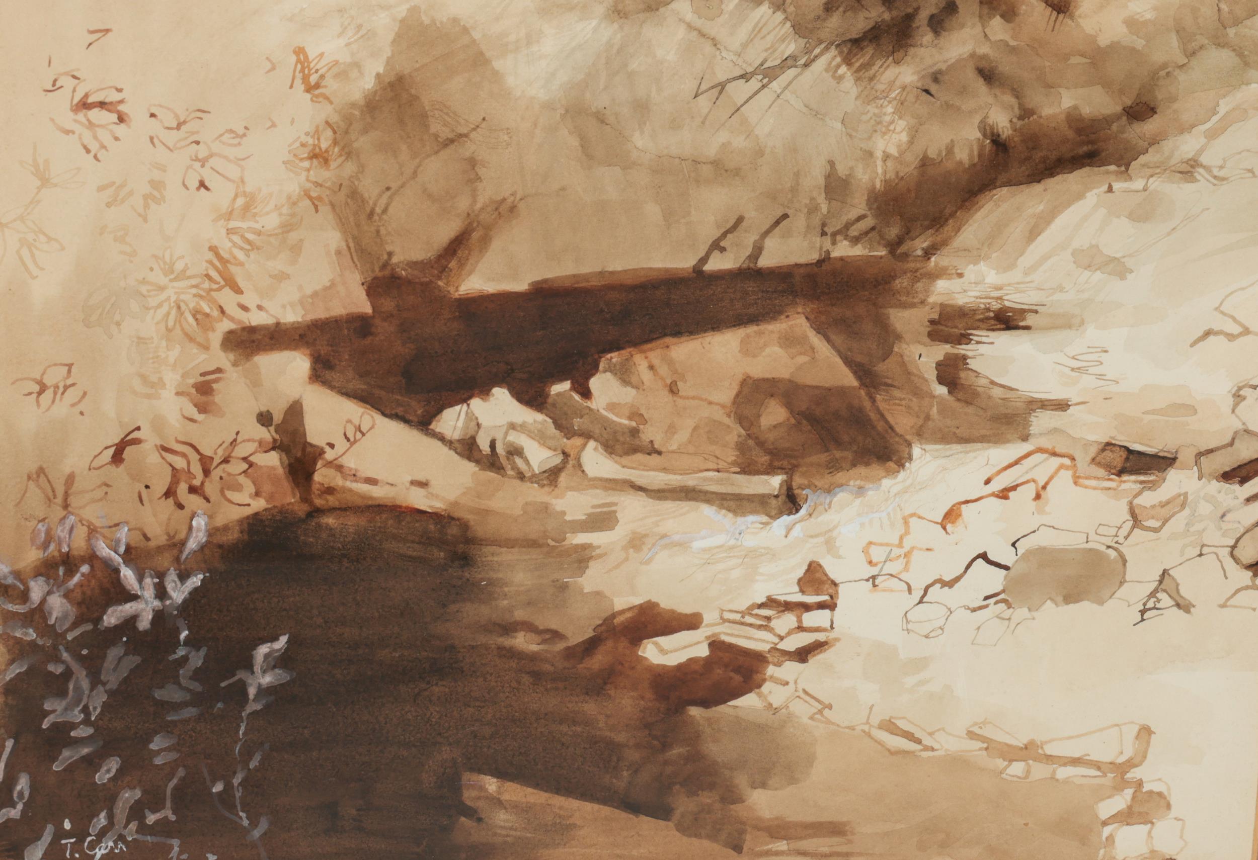 Tom Carr, ARHA, HRUA, ARWS (1909-1999)  "Mountain Stream," sepia watercolour, approx. 24cms x